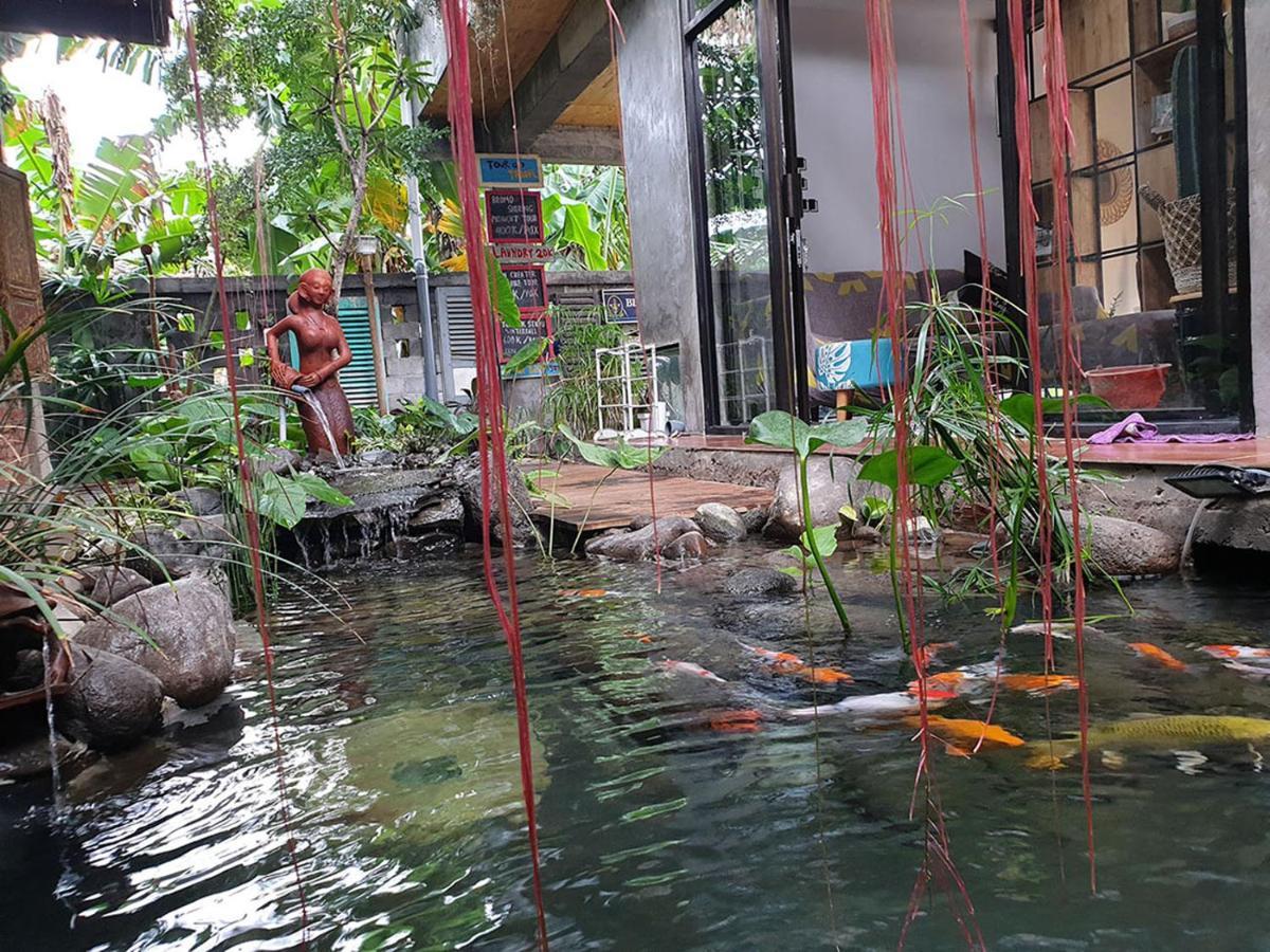 Happy House Bnb Bromo Backpacker Probolinggo Zewnętrze zdjęcie